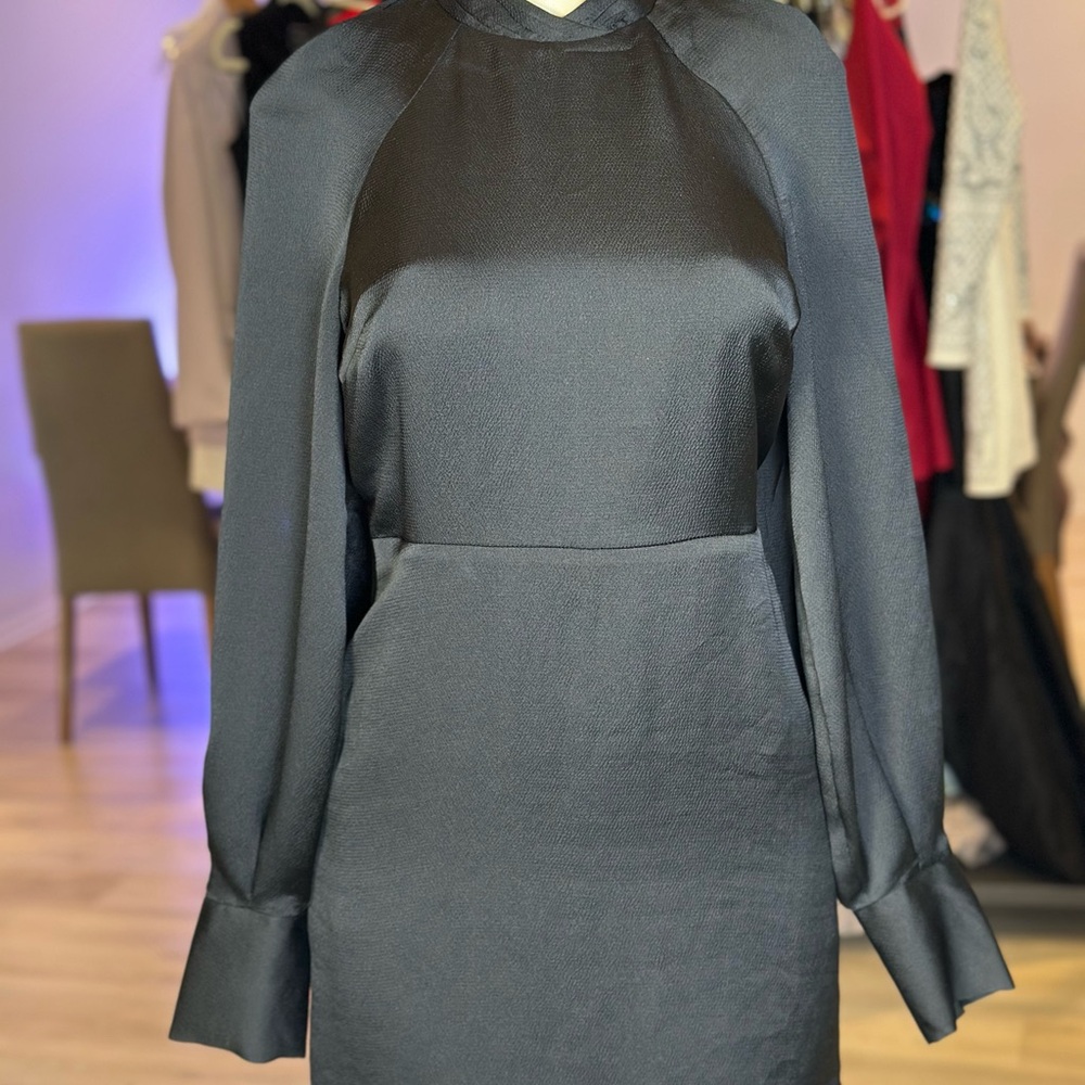 Express Black Sheath Dress with Raglan Sleeves and Mock Neck
